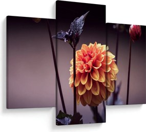 Tablou - Floare (90x60 cm)