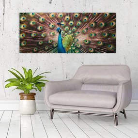 Tablou - Păun (120x50 cm)
