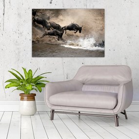 Tablou - Turmă de gnu (90x60 cm)