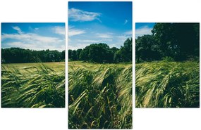 Tablou cu linca și pădure (90x60 cm)