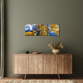 Tablou - Aspen (cu ceas) (90x30 cm)