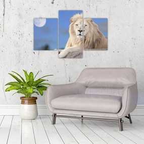 Tablou - Leu alb (90x60 cm)