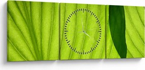 Tablou - Detaliu de frunză verde (cu ceas) (90x30 cm)