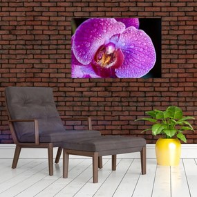 Tablou detailat cu floare de orhidee (90x60 cm)