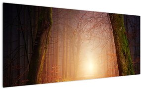 Tablou cu pădurea toamna în ceață (120x50 cm)
