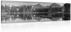 Tablou panoramă inedită a munților lângă lac alb-negru