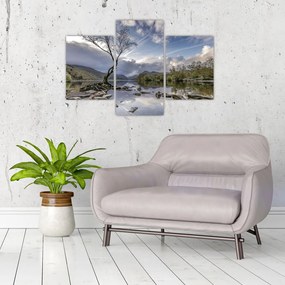 Tablou cu râu și copac (90x60 cm)