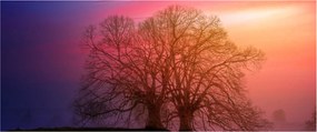 Tabloul pomilor în ceață (120x50 cm)