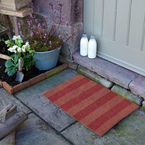 Covoraș de intrare din fibre de nucă de cocos 40x60 cm Pink Stripe – Artsy Doormats