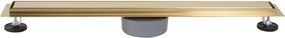 Rigola dus REA Neox pro Brush Gold 100