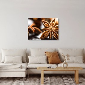 Tablou pe sticlă - Anason (70x50 cm)