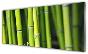 Tablouri acrilice Bamboo Natura Verde