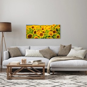 Tablou - Floarea-soarelui (120x50 cm)