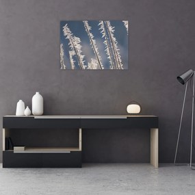 Tablou - Îngheț (70x50 cm)