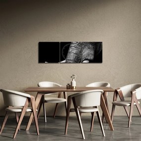 Tablou - Colți de elefant (cu ceas) (90x30 cm)