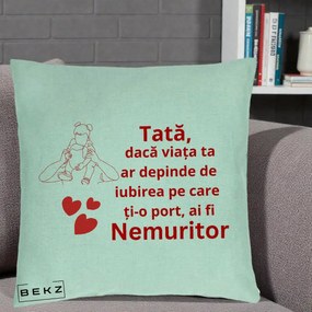 Cadou pentru Tata - Perna Personalizata Tata Nemuritor Mesaj Rosu, 40x40 cm, Verde Menta, Husa Detasabila, Perna Inclusa, BEKZ®