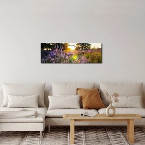 Tablou - Câmp cu lavandă (cu ceas) (90x30 cm)