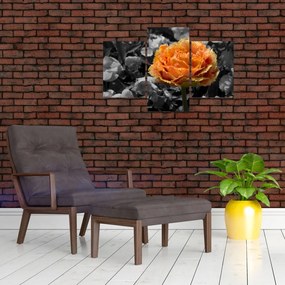 Tablou cu floare (90x60 cm)