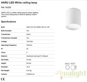 Plafoniera LED moderna tip spot aplicat HARU 64206
