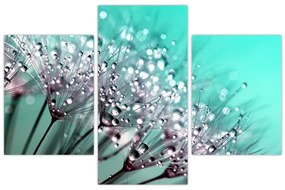 Tablou - planta cu rouă (90x60 cm)