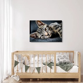 Tablou - Pisoi (90x60 cm)