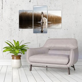 Tablou cu lebăda (90x60 cm)