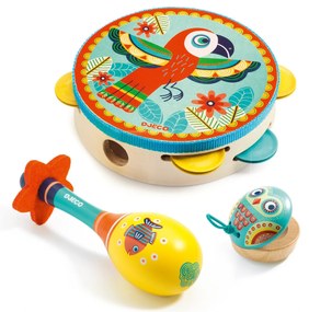 Set instrumente muzicale Djeco