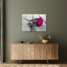 Tablou pe sticlă - Trandafir roz (70x50 cm)
