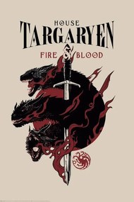 Poster Game of Thrones - House Targaryen, (61 x 91.5 cm)
