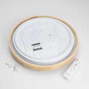 Brilagi - Plafonier LED reglabil PINE LED/24W/230V + telecomandă