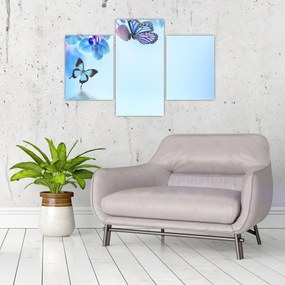 Tablou - Fluture pe flori de orhidee, albastru (90x60 cm)