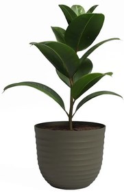 Ghiveci din plastic reciclat ø 20 cm Havana – Artevasi