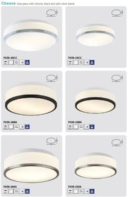 Plafoniera baie cu protectie IP44 Cheese 23cm, argintiu satinat