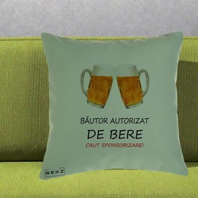 Perna Decorativa Bautor Autorizat de Bere, 40x40 cm, Verde, Husa Detasabila, Perna Inclusa, BEKZ®