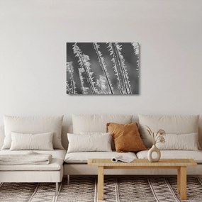 Tablou pe sticlă - Frig de îngheț (70x50 cm)