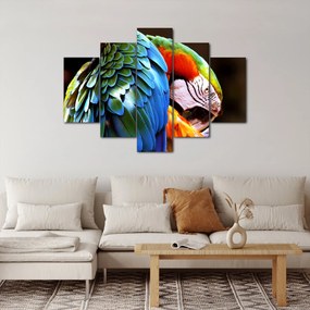 Tablou - Papagal (150x105 cm)
