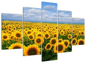 Tablou cu lan de floarea soarelui (150x105 cm)