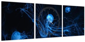 Tablou - Meduză (cu ceas) (90x30 cm)