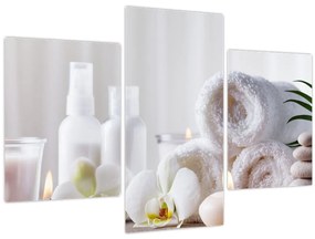 Tablou - Spa (90x60 cm)