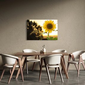 Tablou cu floarea soarelui (90x60 cm)