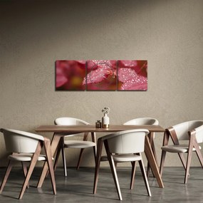 Tablou - Imagine macro a biletului (cu ceas) (90x30 cm)
