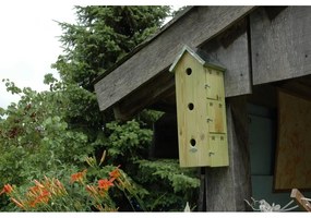 Căsuță pentru păsări din lemn Triple – Esschert Design