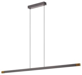 Lustră LED dimabilă pe cablu Eglo 900175 LISCIANA LED/22W/230V 3000K