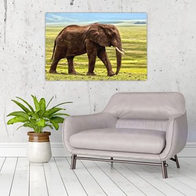 Tablou - Elefantul (90x60 cm)