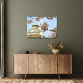 Tablou - Sakura (70x50 cm)