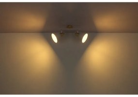 Aplica de perete / tavan cu 2 spoturi directionabile design industrial WIHO alb