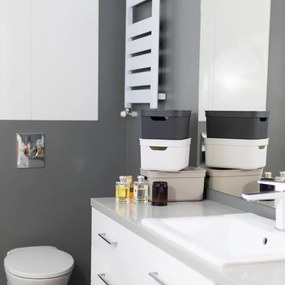 Cutie de depozitare din plastic cu capac Deco - Rotho