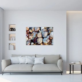 tablou cu scoici (90x60 cm)