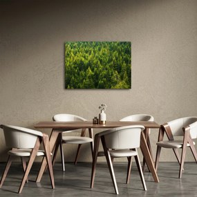 Tablou - Pădure deasă (70x50 cm)
