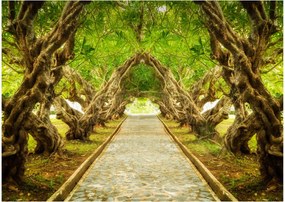Tablou pe sticlă - Tunel viu din plumeria (70x50 cm)